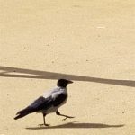 IMG_20230918_145807