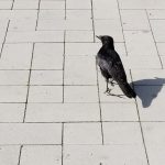 IMG_20230918_150017